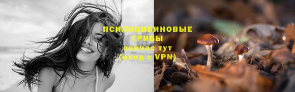 а пвп мука Алзамай
