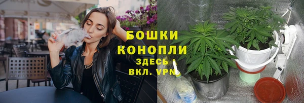 спайс Алексеевка